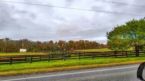 Road by trees against sky