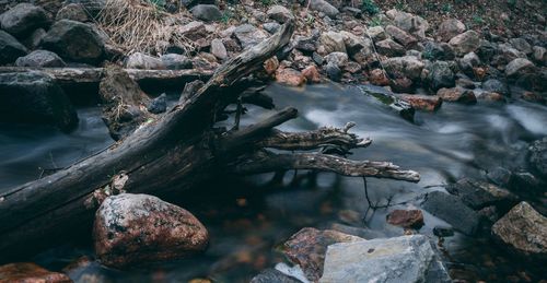 High angle view of driftwood on riverbank