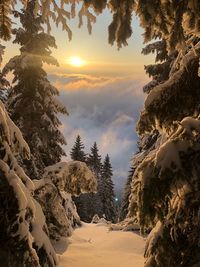 Scenic view of snow covered landscape against sky