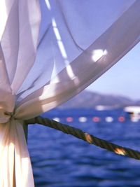 Close-up of flowering plant against sea