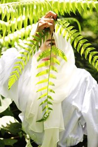 Close-up of white rose hanging on leaves