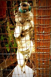 Close-up of market stall