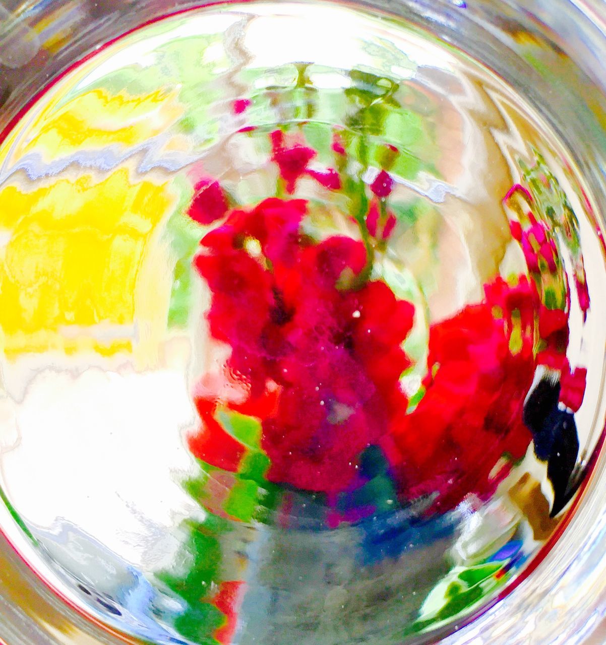 close-up, multi colored, water, red, no people, indoors, glass - material, glass, nature, transparent, paint, food and drink, full frame, still life, drinking glass, freshness, refreshment, abstract, directly above, mixing