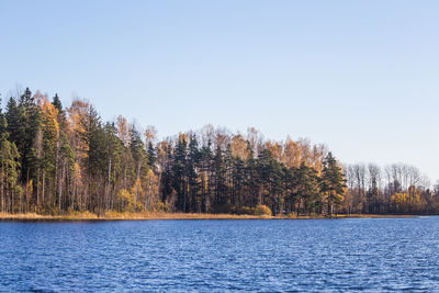 Scenic view of lake in forest against clear sky