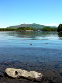 Scenic view of calm lake against clear sky