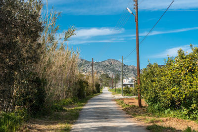 Footpath amidst trees and buildings against sky