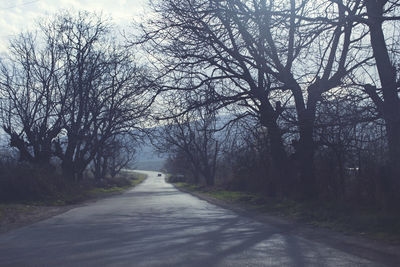 Empty road along bare trees