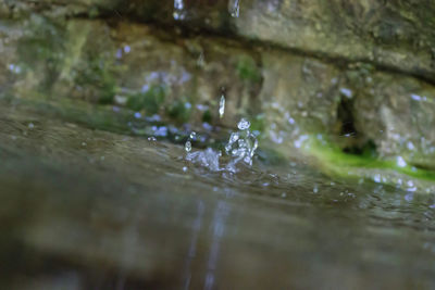 Close-up of water drops on lake