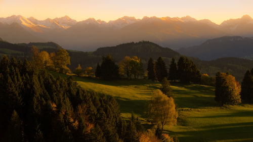 Scenic view of field against sky during sunset