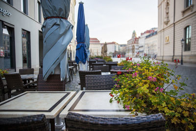 Buildings and plants in city against sky