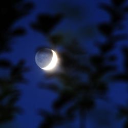 Low angle view of moon in sky