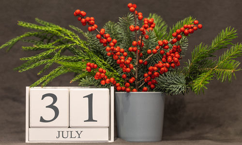 Close-up of red berries on plant