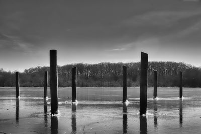 Wooden dock post in water