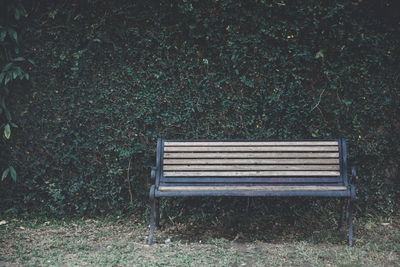 Empty bench in park