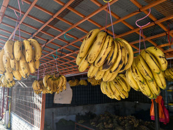Low angle view of fruits for sale at market
