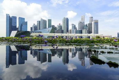 Reflection of buildings in city