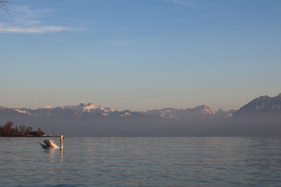 Scenic view of sea during sunset