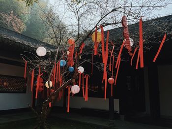 Illuminated lanterns hanging by building against sky