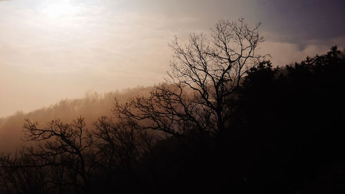 Silhouette bare trees against sky during sunset