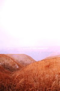 Scenic view of landscape against clear sky