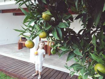 Full frame shot of apple tree
