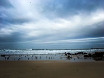 Scenic view of beach against sky