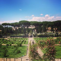 High angle view of formal garden