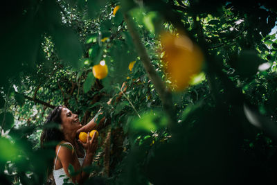 Side view of woman against orange tree