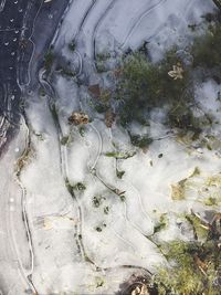 High angle view of trees during winter