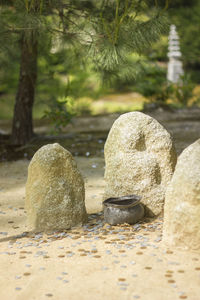 Close-up of stone sculpture