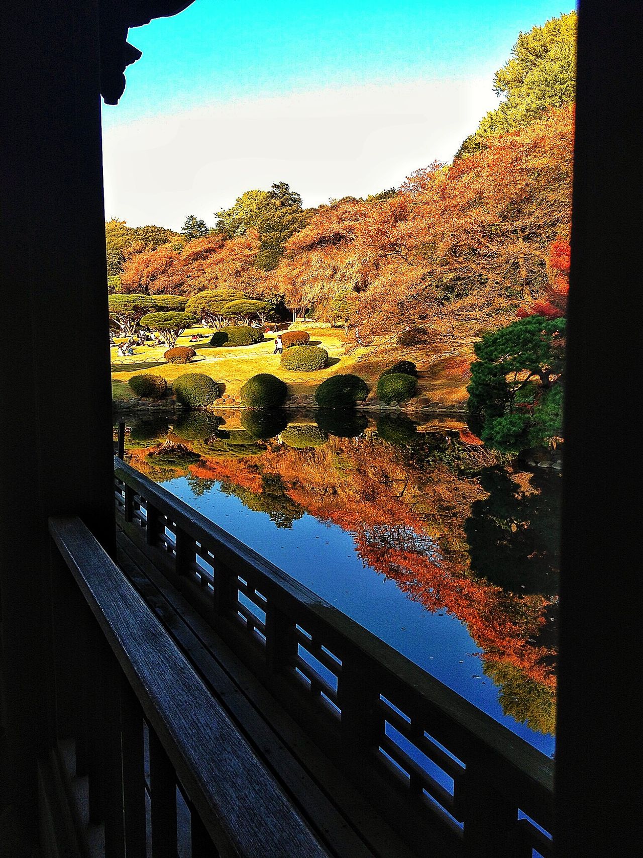 Tokyo Shinjuku Gyoen Park