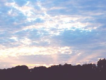 Low angle view of silhouette trees against sky at sunset