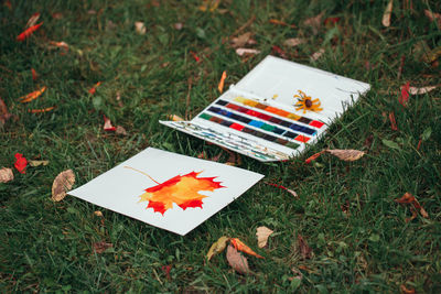 High angle view of paper flowers on field