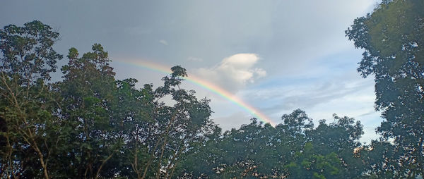 Low angle view of rainbow against sky