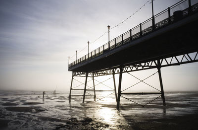 Man walking two dogs near skegness pier early in the morning at low tide