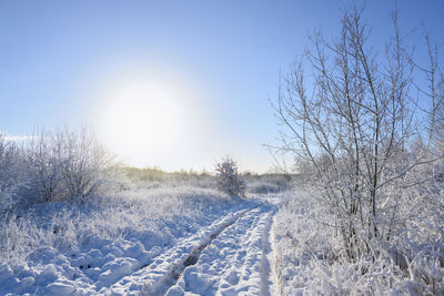 Snow covered land against sky