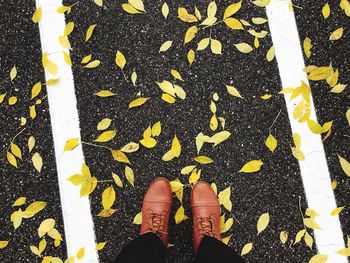 Low section of person standing on yellow street