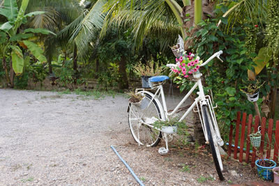 Bicycle on plant against trees