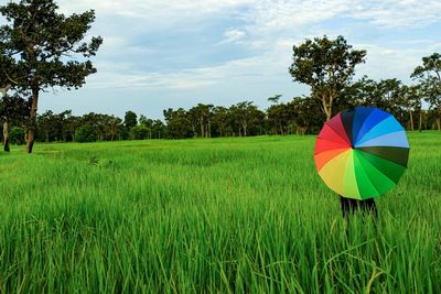 Multi colored umbrella on field against sky