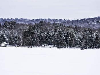 Trees on field against sky during winter