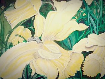 Close-up of yellow flowers