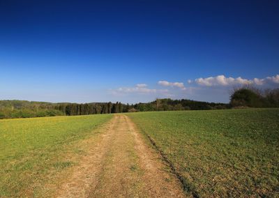 Scenic view of agricultural field against blue sky