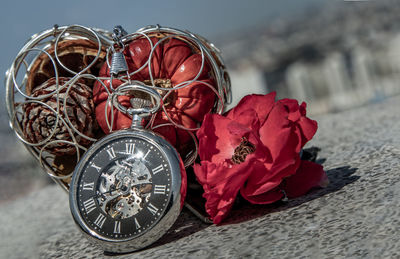 High angle view of red rose in glass on table