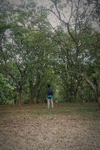 Woman standing by tree against sky