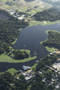 High angle view of river amidst trees