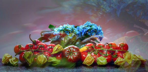 Close-up of fruits on plant