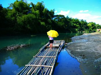 Reflection of trees in lake