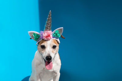 Portrait of dog