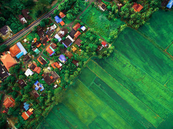 High angle view of agricultural field in town