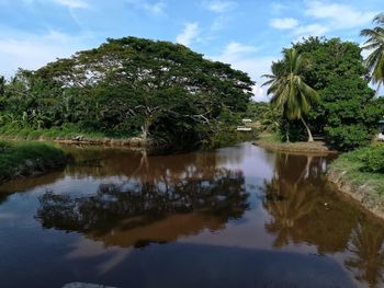 Scenic view of lake by trees against sky